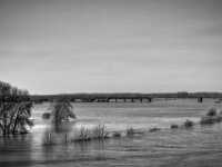 Das alte Eisenbahnviadukt im Hochwasser  PENTAX K-3 Mark III Monochrome, SMC PENTAX-FA 1.9/43 Limited  - 26.02.2026 -