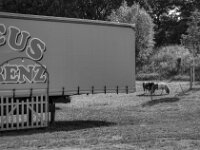 Kleine Mitarbeiter  Pentax K-3 Mark III Monochrome, SMC PENTAX-FA 1.9/43 Limited  - 26.05.2026 -