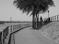 Rheinpromenade Rees  Pentax K-3 Mark III Monochrome, SMC PENTAX-FA 1.9/43 Limited  - 26.05.2026 -