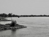 Rheinblick  Pentax K-3 Mark III Monochrome, SMC PENTAX-FA 1.9/43 Limited  - 26.05.2026 -