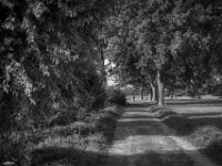Spaziergang mit dem Hund  Pentax K-3 Mark III Monochrome, SMC PENTAX-FA 1.9/43 Limited  - 28.09.2026 -