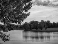 Lippe Aue  Pentax K-3 Mark III Monochrome, SMC PENTAX-FA 1.9/43 Limited  - 28.09.2026 -