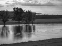 Naturschutz und Industrie  Pentax K-3 Mark III Monochrome, SMC PENTAX-FA 1.9/43 Limited  - 28.09.2026 -