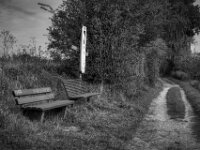 Sitzgelegenheit am Rheinuferweg  Pentax K-3 Mark III Monochrome, SMC PENTAX-FA 1.9/43 Limited  - 28.09.2026 -