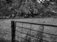 Bunte Mischung  Pentax K-3 Mark III Monochrome, HD PENTAX - DA* 2.8/16-50 ED PLM AW  - 30.09.2026 -