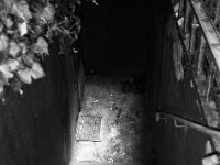 Abwärtrs  CHINON Auto 3001 Multi Auto Focus, ADOX CHS 100II  - 17.06.2026 -