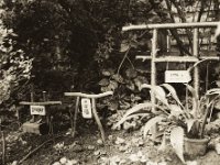 Grabstätte von Smokey, Kleine Graue und Rota  Pentax 67II, SMC Takumar 4.5/75, Ilford Delta 100pro @64