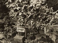 Grabstätte von Smokey und Kleine Graue  Canham DLC 45; Rodenstock APO Sironar-N 5.6/150, Cambo Magazin 6x7,  Bergger Pancro 400@320