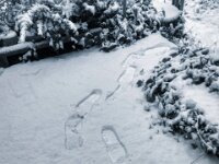 Spuren  PENTAX K-3 Mark III Monochrome, HD PENTAX - DA* 2.8/ 11-18 ED DC AW  - 07.01.2025 -