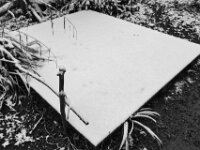 Schnee  PENTAX K-3 Mark III Monochrome, HD PENTAX - DA* 2.8/16-50 ED PLM AW  - 29.01.2026 -