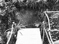 Teichsteg  PENTAX K-3 Mark III Monochrome, HD PENTAX - DA* 2.8/16-50 ED PLM AW  - 29.01.2026 -