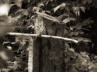 Insektenhotel  PENTAX K-3 Mark III Monochrome, HD PENTAX - D FA* 2.8/70-200 ED DC AW   - 09.08.2026 -