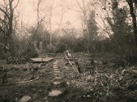 Heimlicher Gartenreiher  Pentax 645N, SMC PENTX -FA 645  2.8/45, ADOX CHS 100 II   - 05.03.2026 -