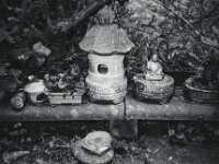 Veilchenort  CHINON Auto 3001 Muilti Auto Focus, ADOX CHS 100 II   -  03.04.2026 -