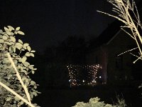 Weihnachtslichterkette am Zaun : Nacht, Polaroid