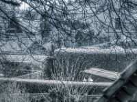 Wintergärten  PENTAX K-3 Mark III Monochrome, SMC PENTAX-FA 1.8/77 AL Limited   - 31.12.2025 -