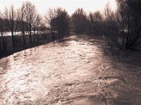 Hochwasser  Voigtlaender Prominent, Skoparon 3.5/35, Adox CHS100II@100