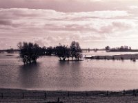Rheinhochwasser  Contax Aria, Planar 1.4/50, Gelbfilter, Ilford FP4+@80