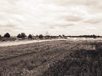 Landschaft mit Gärtnerei  Pentax 645N, SMC-A  2.8/45, Ilford FP4plus@80