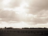 Flache Landschaft, weiter Himmel  Pentax 67II, SMC 2.4/105, Ilford FP4plus@80