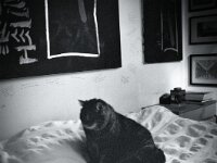 Struppi  Fuji GS645S prof.WIDE 60, KODAK TRI-X 400   -18.02.2026 -