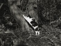 Trainingseinheit III  Pentax 645N, SMC PENTAX-FA 645 2.8/75, ADOX CHS 100II  -26.02.2026 -