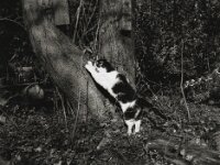 Trainingseinheit II  Pentax 645N, SMC PENTAX-FA 645 2.8/75, ADOX CHS 100II  -26.02.2026 -