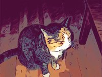 Katze Grey : Comic, Grafik-Art, Katze, Grafik, Grey