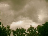 Himmel überm Garten  Pentax K-01, Analog-Retro Bearbeitung - 04.07.2016 - : Bäume, Fenster Ausblick, Himmel, Wolken