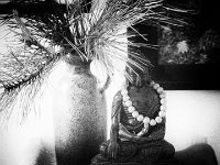 Meditation  Pentax K-01, Lochkamera Bearbeitung - 06.10.2016 - : Bilder, Buddha, Figur, Kiefer, Steine, Stillleben, Vase