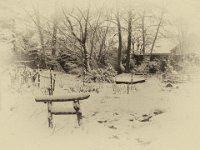 Kleines Torii im Winter  Pentax K-01, Bearbeitung Fotoplatte  - 11.02.2017 - : Garten Erlenstraße, Reiher, Schnee, Torii
