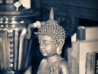 Peace  Pentax K-1, HD PENTAX - D FA* 2.8/70-200 ED DC AW  - 07.02.2026 -