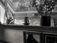 Die Teetasse auf der Fensterbank  Pentax MZ-S, SMC Pentax FA 1.9/43 Limited, Kentmere 100   - 02.05.2026 -