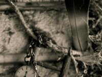 Verlorene Zeit  Pentax K-1, HD PENTAX - D FA* 1.4/50 SDM AW  - 04.08.2026 -