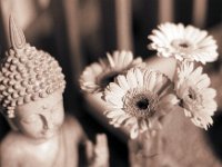 Blüten und Buddhafigur  Pentax LX, SMC 1.4/50; Rollei RPX400@250 - 19.09.2015 -