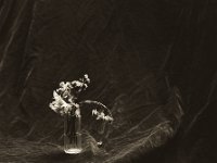 Vertrocknete Blumen im Glas  Pentax 6x7, Takumar 2.8/150, Bergger Pancro 400 @640