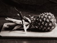 Pineapple with knife  Canham DLC 45; Tele-Xenar 5.5/240, Bergger Pancro400@200  - 29.01.2022 -