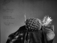 Tropisch  Pentax 67II, Super-Multi-Coated TAKUMAR/6x7 2.8/150, KODAK TRI-X 400  - 27.12.2025 -