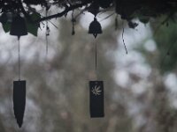 Tempelglöckchen  Pentax K-1, HD PENTAX - D FA* 2.8/70-200 ED DC AW  - 07.02.2026 -