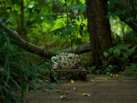Topf  Pentax K-1, HD PENTAX - D FA* 1.4/50 SDM AW  - 04.08.2026 -