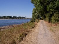 Weiter am Rhein entlang  Pentax K-1, SMC PENTAX-FA 1.8/31 AL Limited  - 12.08.2026 -