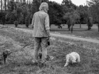 Drei + 1 auf dem Deich  Pentax K-3 Mark III Monochrome, HD PENTAX - D FA* 2.8/70-200 ED DC AW  -21.08.2026 -