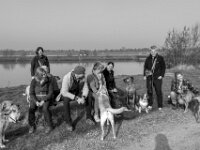 Friedliches Miteinander  PENTAX K-3 Mark III Monochrome, HD PENTAX - DA* 2.8/ 11-18 ED DC AW  - 07.03.2026 -