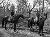 Es schaut mich an,  das Pferd  PENTAX K-3 Mark III Monochrome, HD PENTAX - DA* 2.8/ 11-18 ED DC AW  - 07.03.2026 -