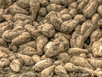 Erster Anbiss  iPhone 17 Pro Max   - 31.10.2025 -