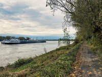 Am Rhein entlang  iPhone 17 Pro Max  -29.10.2025 -