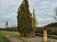 Zum Zechengelände Lohberg  iPhone 17 Pro Max  -29.10.2025 -