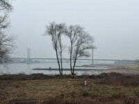 Hier standen schöne Bäume und Sträucher  iPhone 17 Pro Max  - 28.01.2026 -