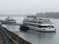 Neues Jahr 28.01.2026