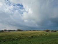 Rheinwiesen  iPhone 17 Pro Max   - 09.11.2025 -